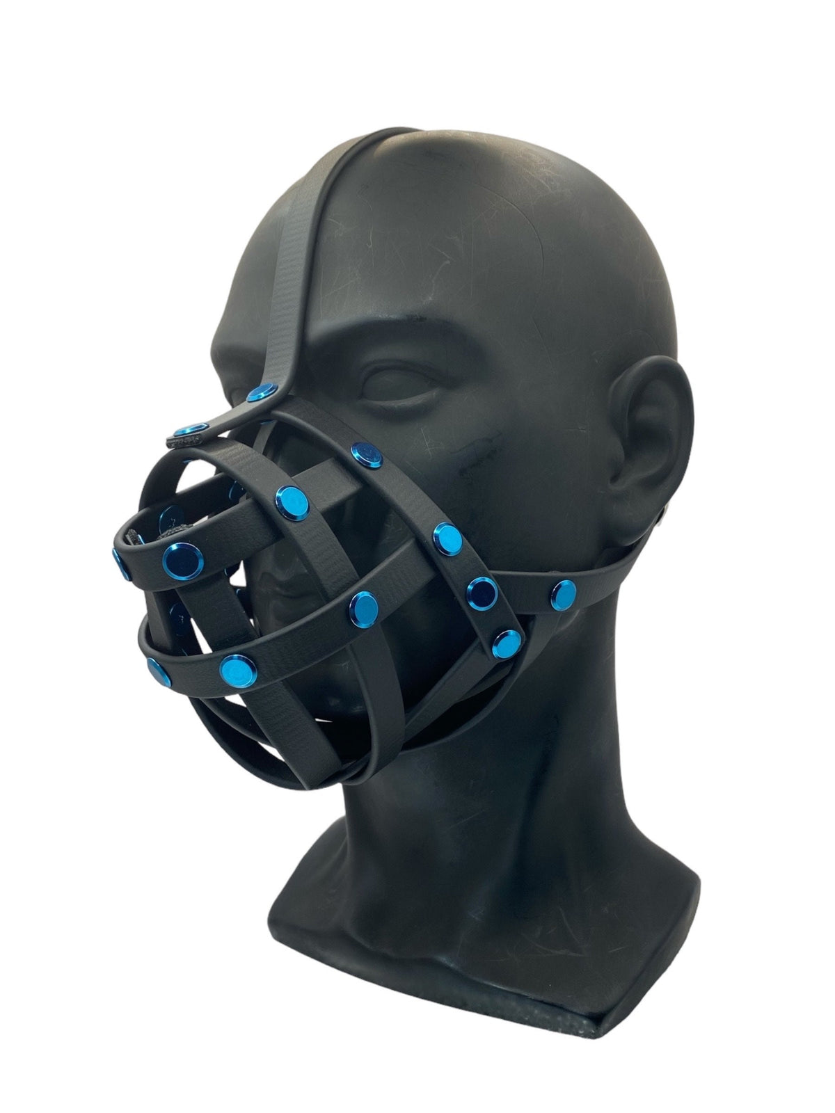 Blue Classic Hardware Face Muzzle