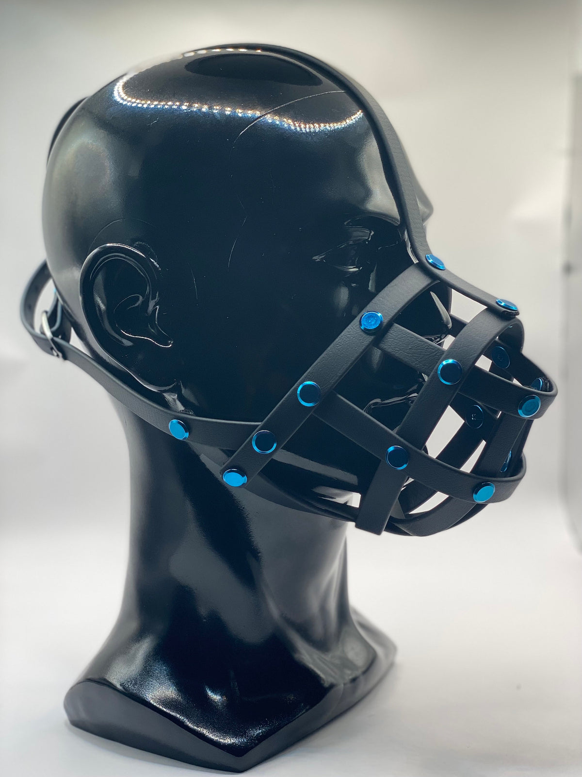 Blue Classic Hardware Face Muzzle