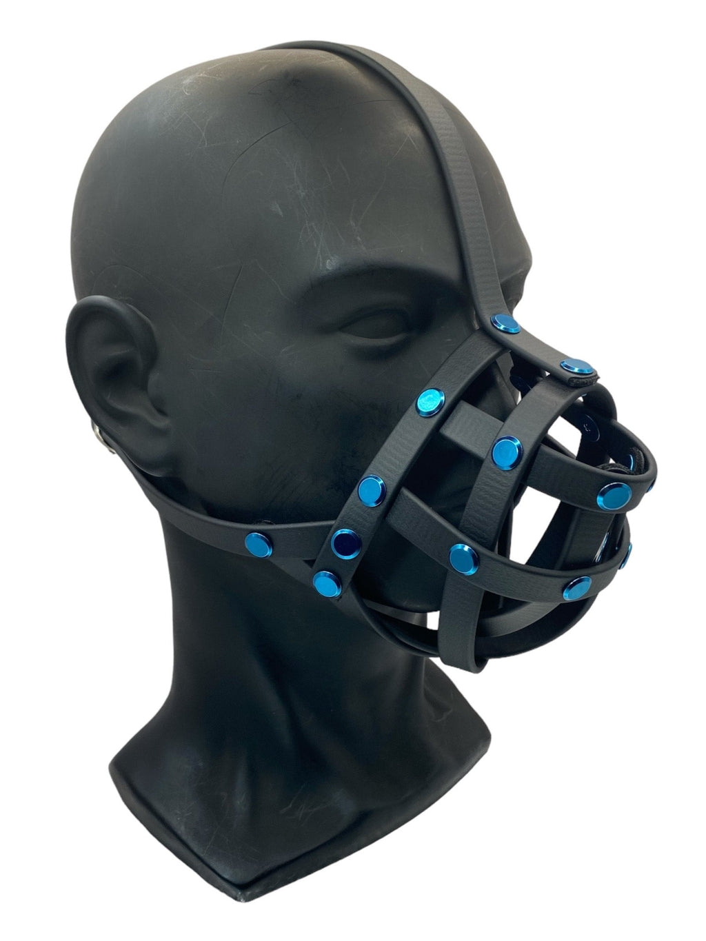 Blue Classic Hardware Face Muzzle