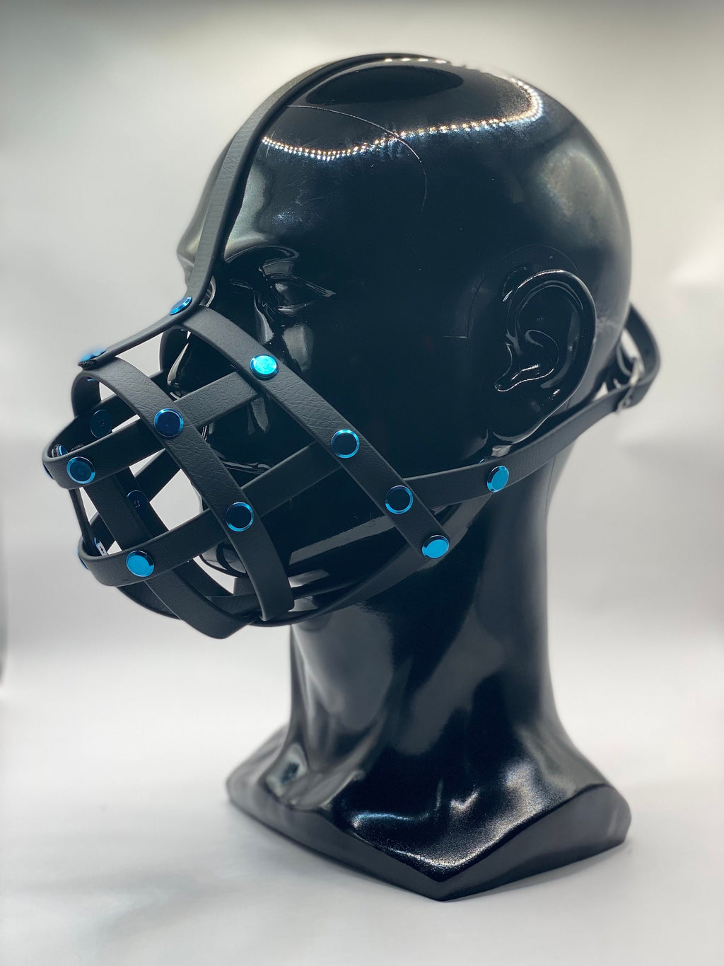 Blue Classic Hardware Face Muzzle