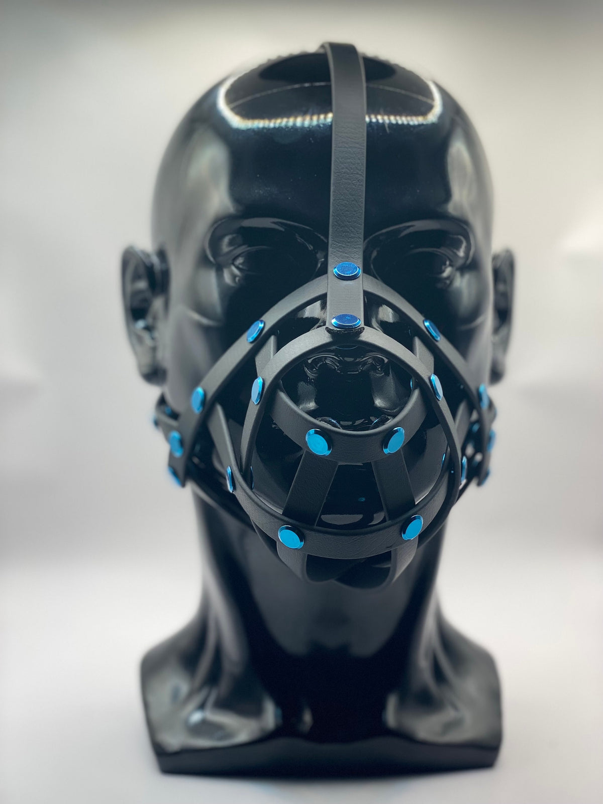 Blue Classic Hardware Face Muzzle