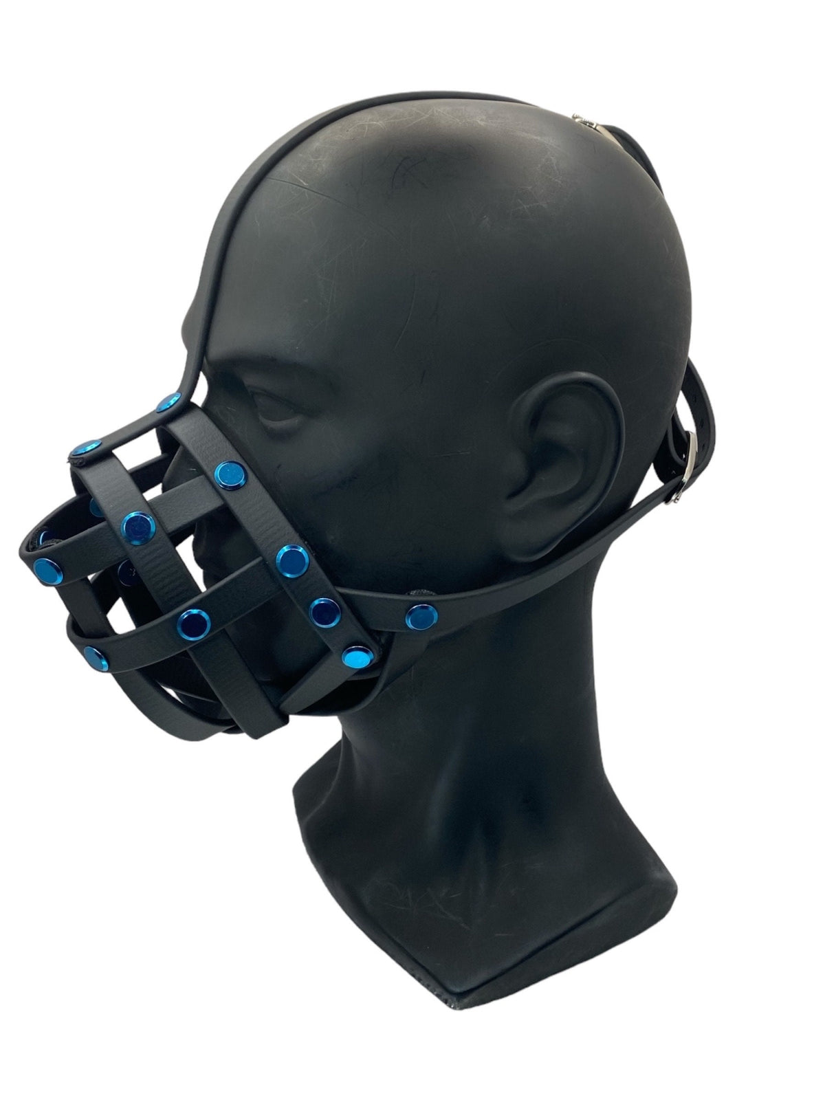 Blue Classic Hardware Face Muzzle